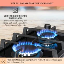 Alchemist Domino Gaskochfeld 2-flammig Aluminium-Brenner Glaskeramik -Einrichtungsgeschäft 10034968 de 0005 usp