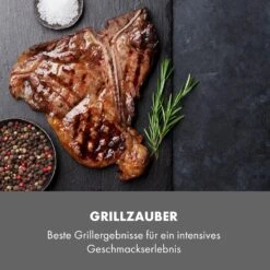 Steakreaktor Core Indoor Grillgerät Hochtemperaturgrill 2100W 800°C -Einrichtungsgeschäft 10035085 de 0007 logo