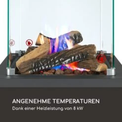 Flagranti Crystal View Gasheizstrahler 8kW Edelstahl -Einrichtungsgeschäft 10035094 de 0003 logo