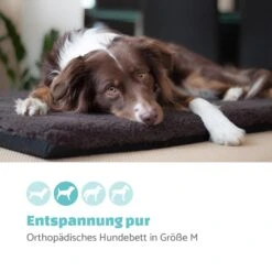 Luna Hundebett Waschbar Orthopädisch Rutschfest Memory-Schaum Größe M -Einrichtungsgeschäft 10037534 de 0002 logo