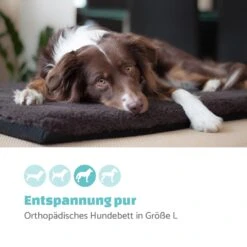 Luna Hundebett Waschbar Orthopädisch Rutschfest Memory-Schaum Größe L -Einrichtungsgeschäft 10037547 de 0002 logo