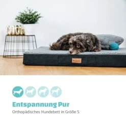 Balu Hundebett Hundekissen | Waschbar | Orthopädisch | Rutschfest | Atmungsaktiver Memory-Schaum | Größe S (72 X 8 X 50 Cm) -Einrichtungsgeschäft 10037554 de 0002 logo