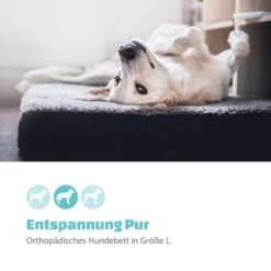 Hundebett Hundematte | Waschbar | Orthopädisch | Rutschfest | Atmungsaktiv | Klappbar Memory-Schaum | Größe L (100 X 10 X 70 Cm) -Einrichtungsgeschäft 10037570 de 0002 logo