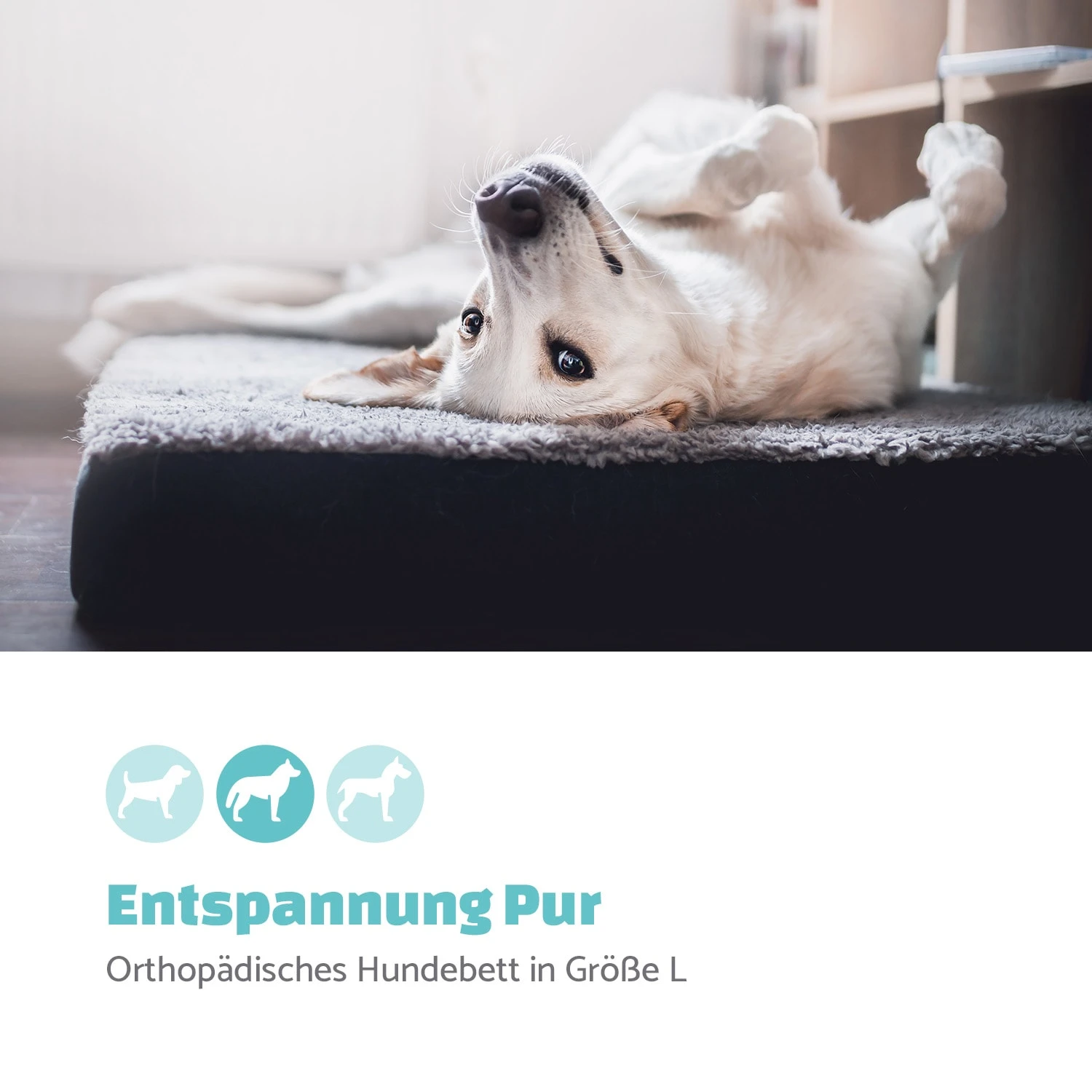 Paco Hundebett Waschbar Orthopädisch Rutschfest Atmungsaktiv Größe L 2 Paco Hundebett Waschbar Orthopädisch Rutschfest Atmungsaktiv Größe L – Bild 2