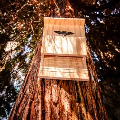 Fledermaushaus Nistkasten Überwinterungshilfe Ganzjährig Kiefer -Einrichtungsgeschäft 10038132 yy 0005 logo