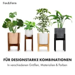 Zeist Pflanzenhalter 3er-Set 2 Höhen Kombinierbar Steck-Design Naturbelassen -Einrichtungsgeschäft 10038553 de 0007 usp